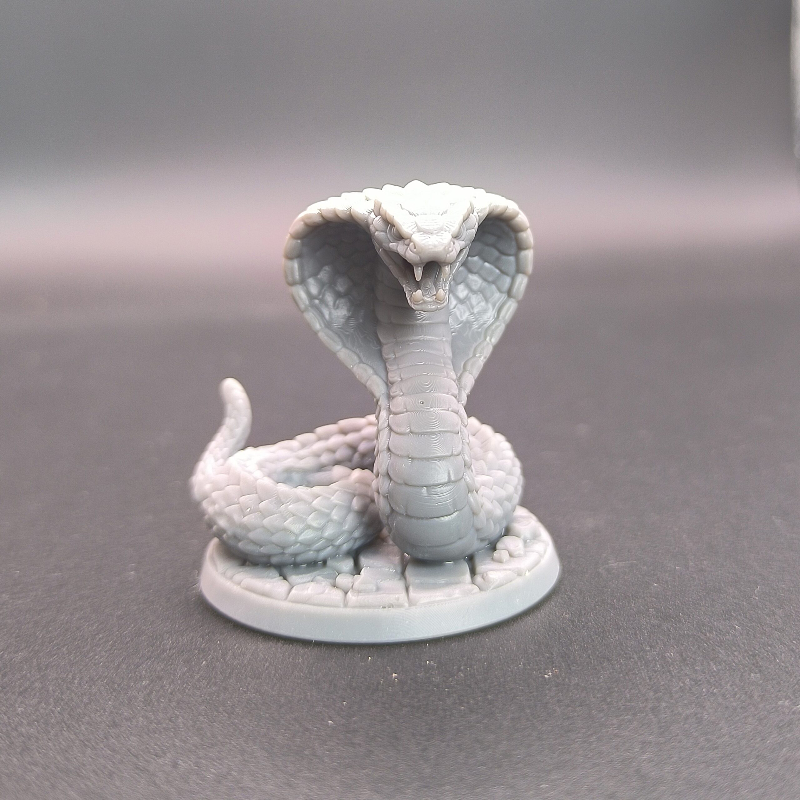 Cobra gigante - immagine 3