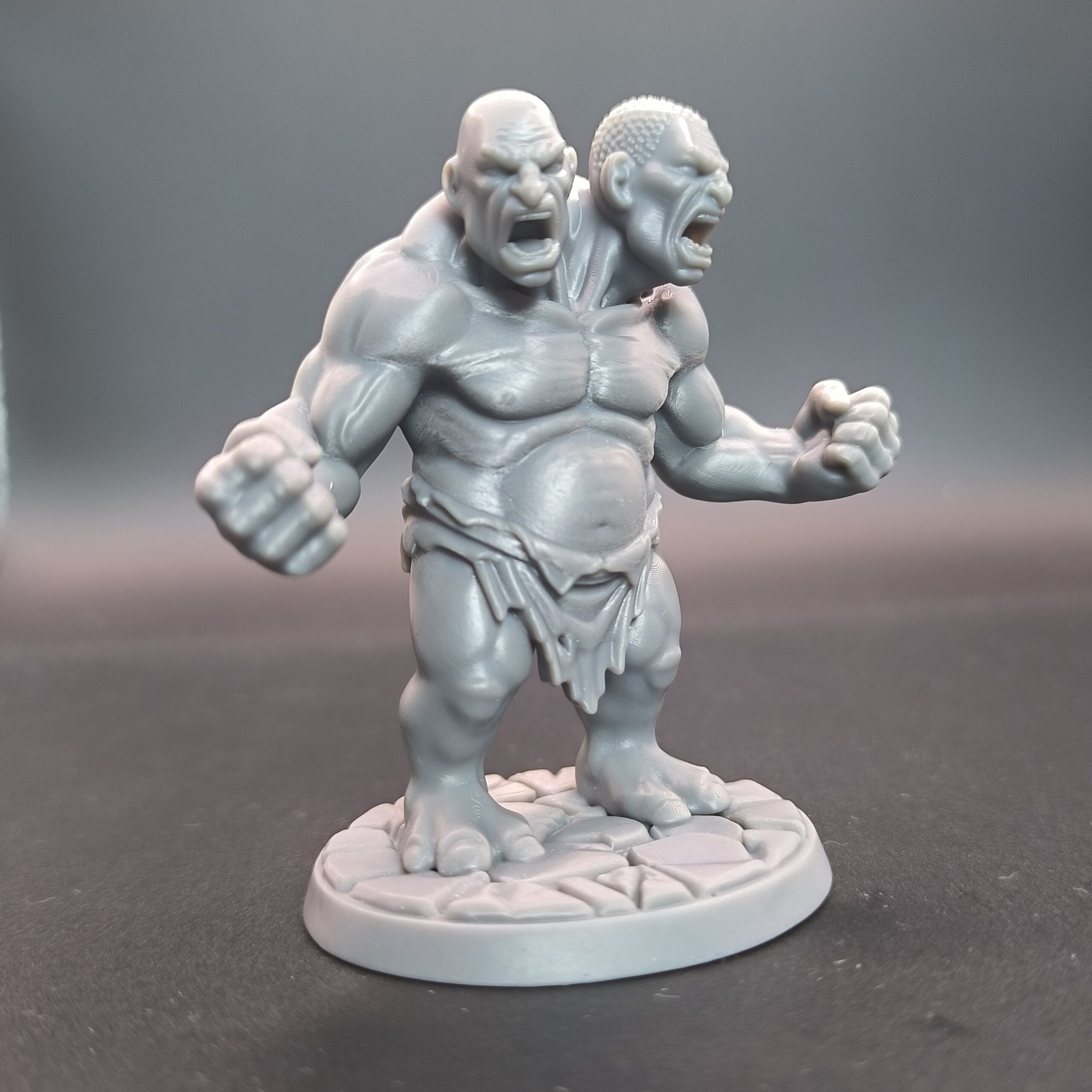 Ettin gigante - immagine 4